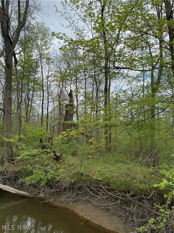 V/L Donley Road, Middlefield, OH 44062