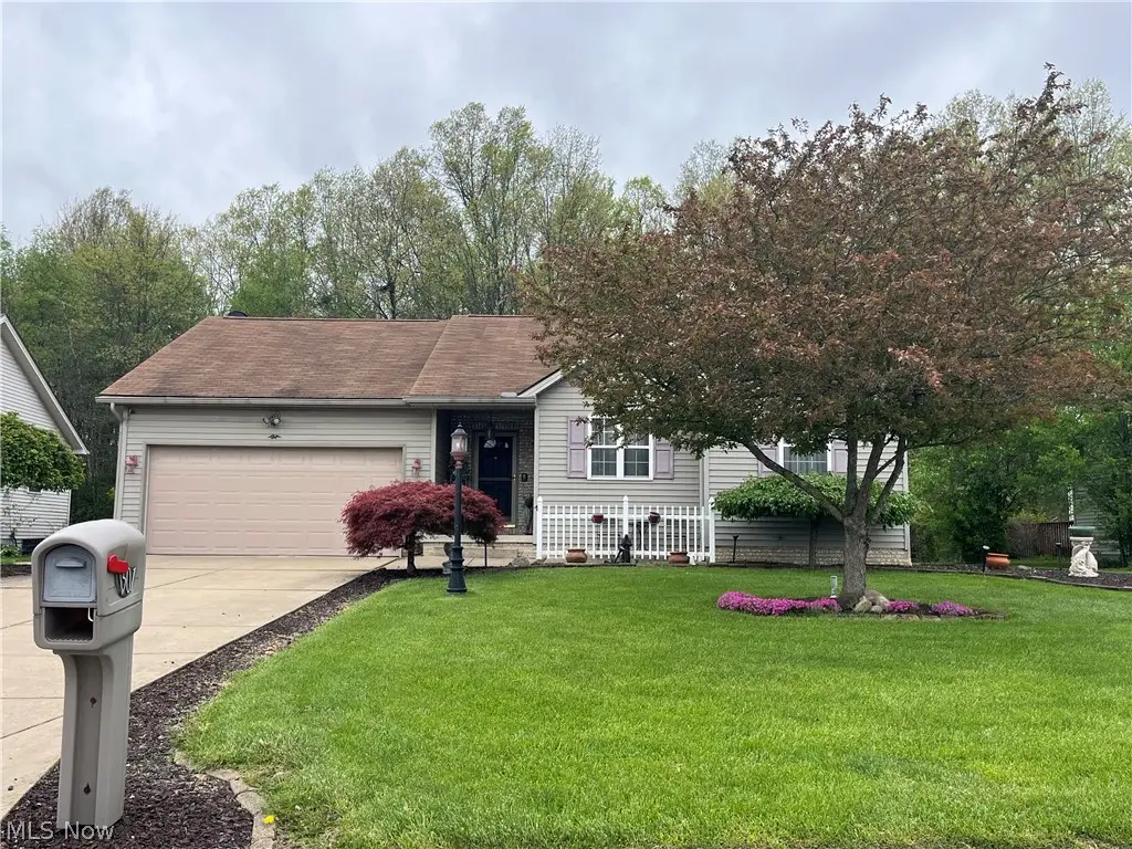 1501 Birch Run Ne Drive, Warren, OH 44483 - #1