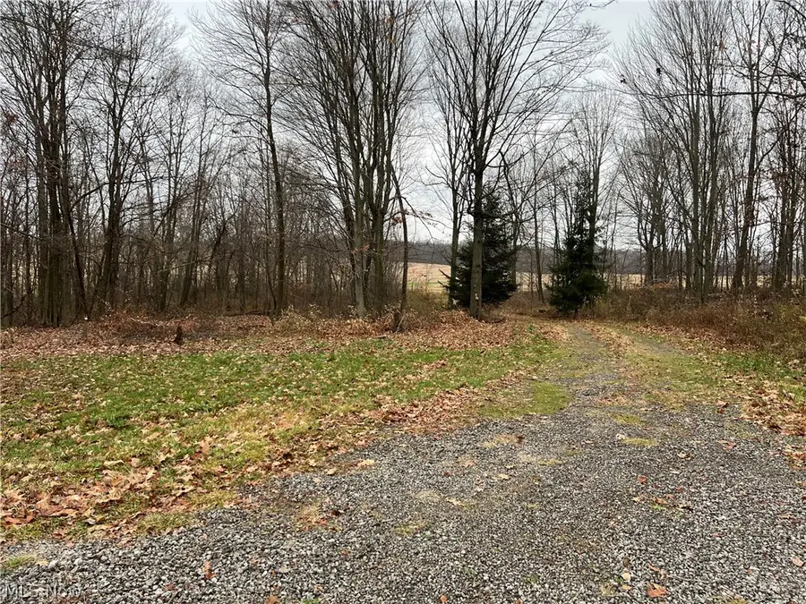 31293 Speidel Road, Hanoverton, OH 44423 - #2