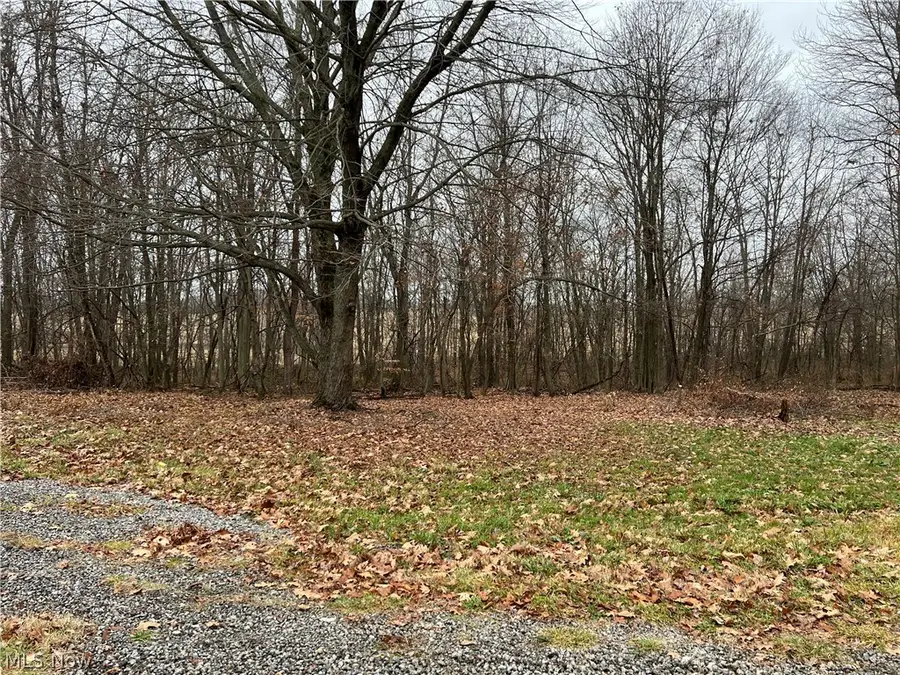 31293 Speidel Road, Hanoverton, OH 44423 - #3