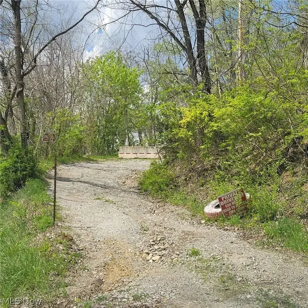 70471 Mount Pleasant Pike, Martins Ferry, OH 43935