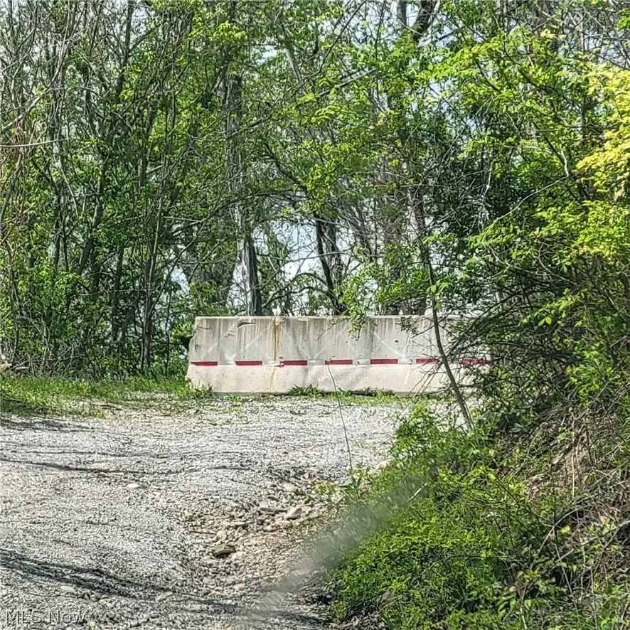 70471 Mount Pleasant Pike, Martins Ferry, OH 43935 - #2