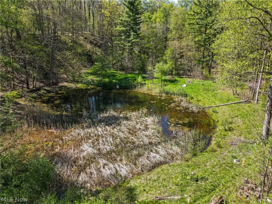 12376 Heath Road, Chesterland, OH 44026 - #3