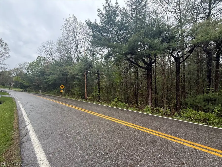Stewart Road, Poland, OH 44436 - #3