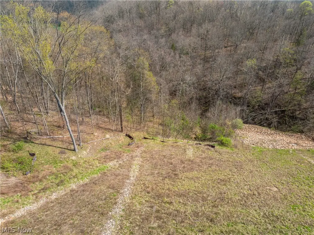 E Captina Highway Road, Alledonia, OH 43902 - #1