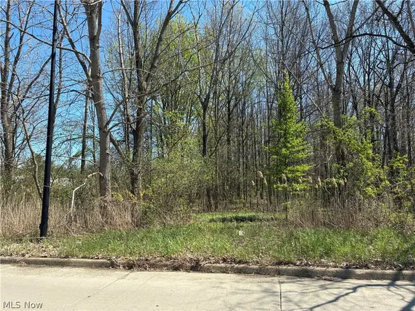 Sferra Avenue, Warren, OH 44483