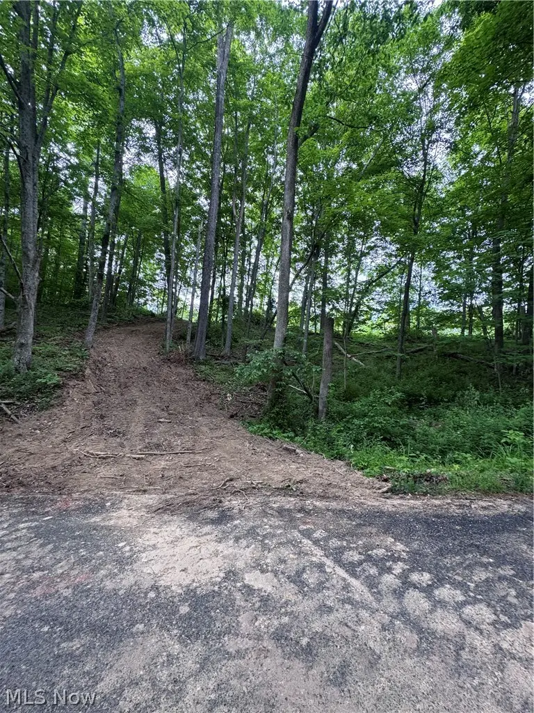 Walker Hill Road #10+-, Stockport, OH 43787 - #1