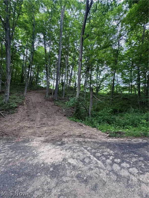 Walker Hill Road #10+-, Stockport, OH 43787
