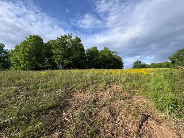 Walker Hill Road #11+-, Stockport, OH 43787