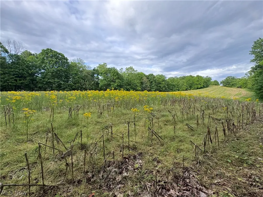 Walker Hill Road #11+-, Stockport, OH 43787 - #3