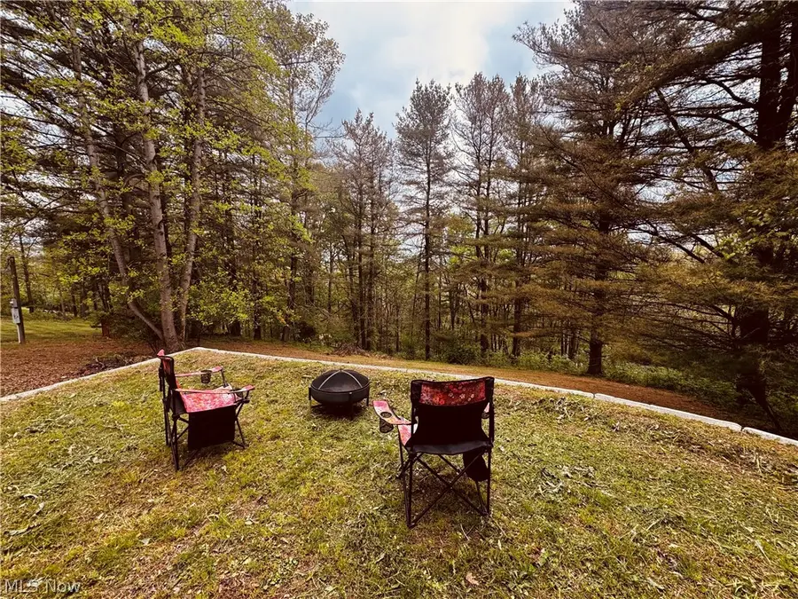 71100 Skyline Drive, Piedmont, OH 43983 - #3