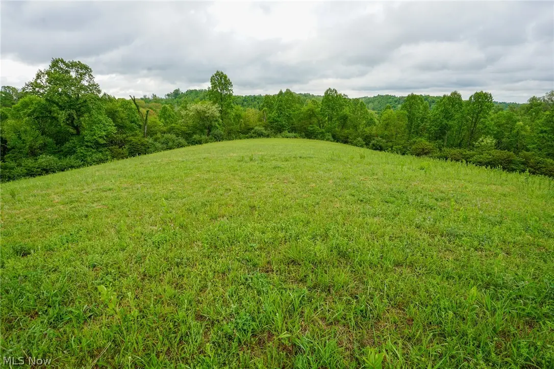 Van Fossen Ln, Chesterhill, OH 43728 - #1