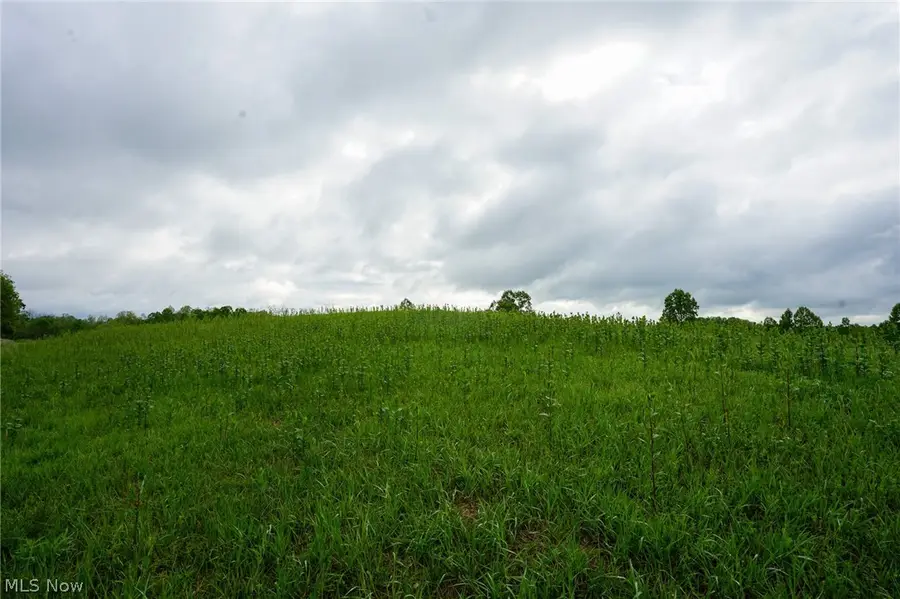 Van Fossen Ln, Chesterhill, OH 43728 - #3