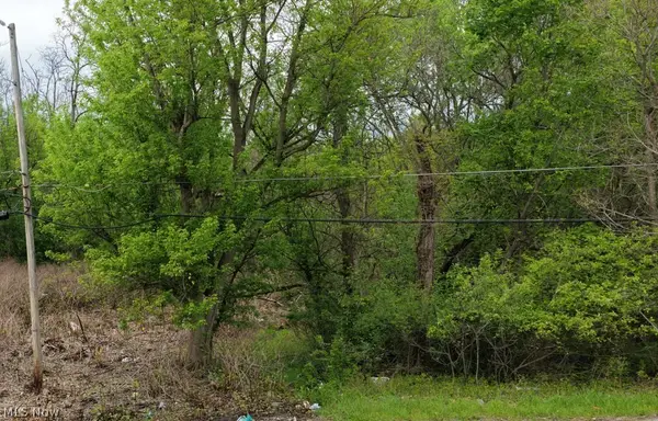 0 Montgomery Avenue, Campbell, OH 44506