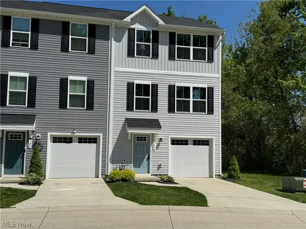 196 Raintree Lane, Painesville, OH 44077
