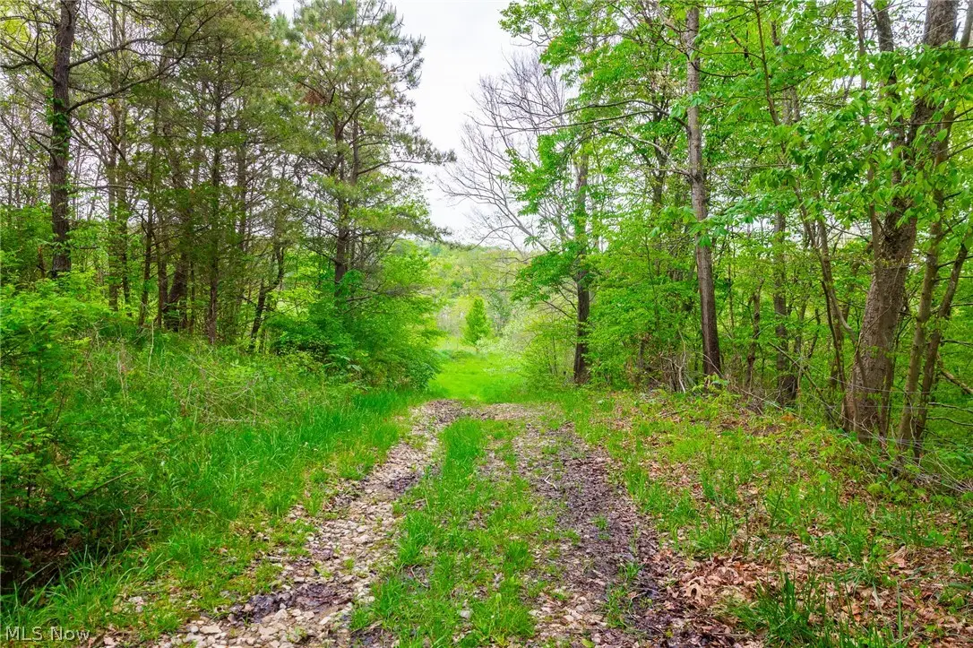 60936 Patch Road, New Concord, OH 43762 - #1