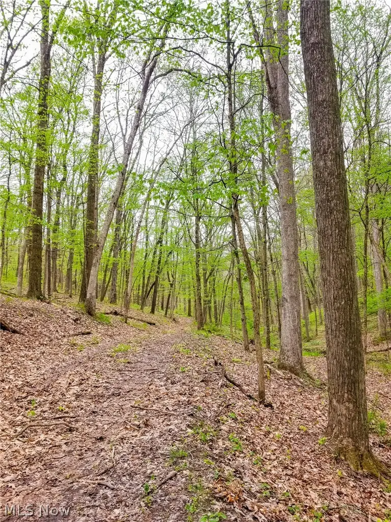 17081 State Route 644, Salineville, OH 43945 - #3