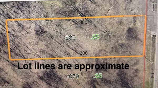Lot A Maddock Road, North Ridgeville, OH 44039