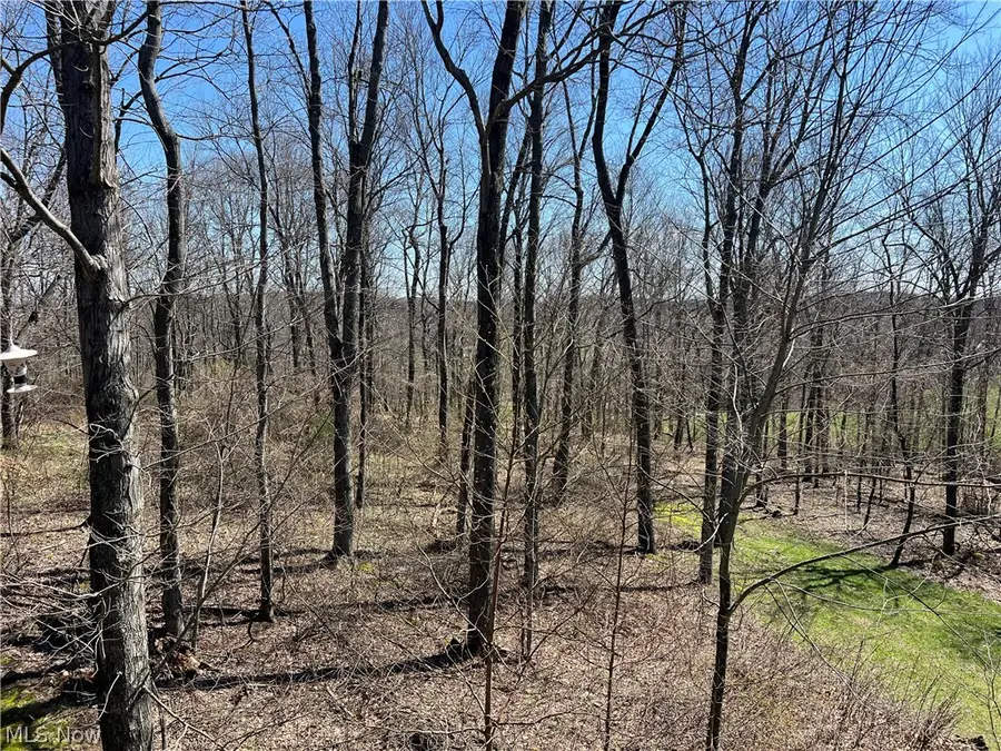 5180 Fresno Road, Dellroy, OH 44620 - #2