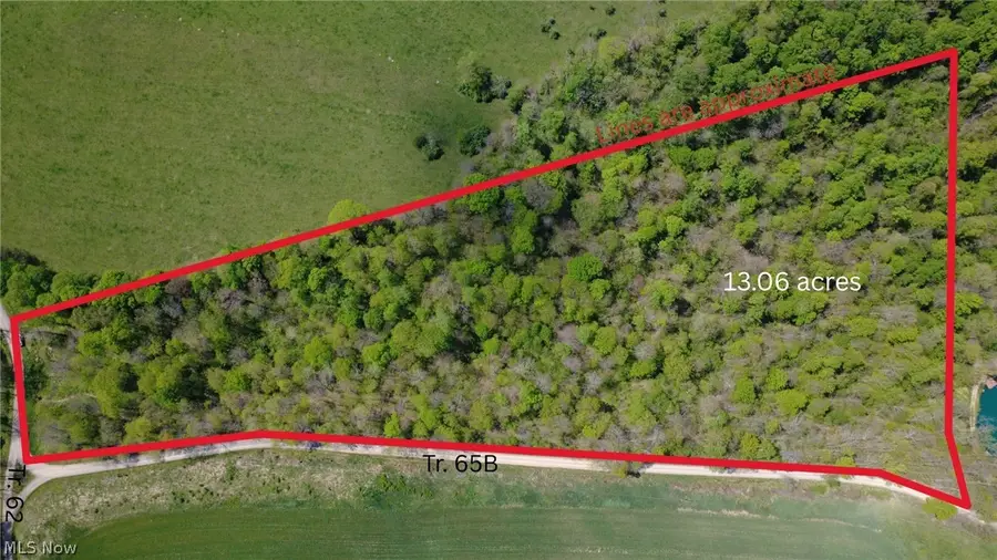 Township Road 62, Washington, OH 43812 - #2