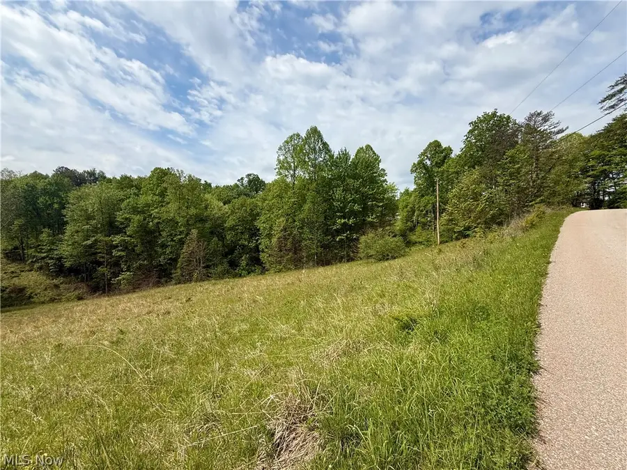 County Line Road, Saint Marys, WV 26170 - #2