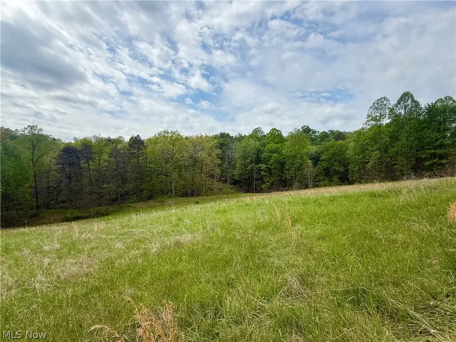County Line Road, Saint Marys, WV 26170 - #3