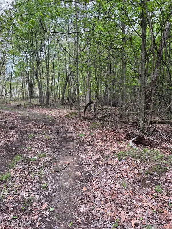 Sandy Ridge Road, Tippecanoe, OH 44699