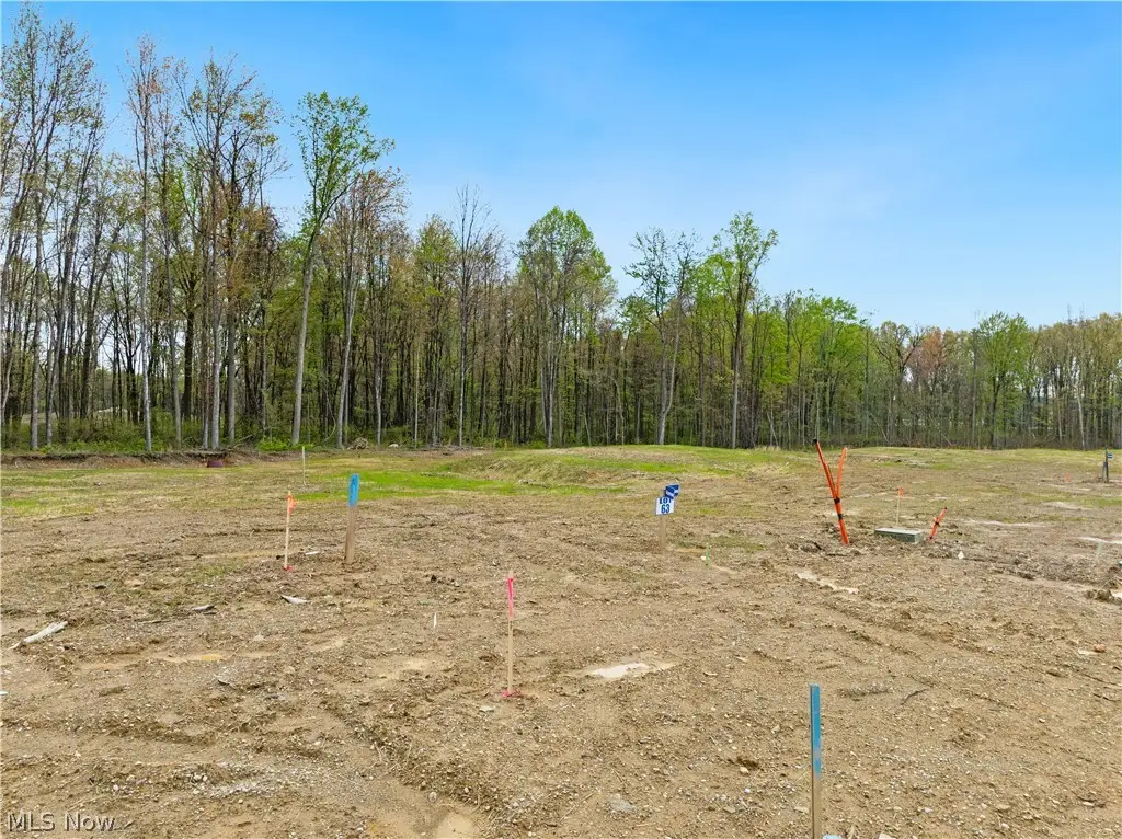 9525 River Birch Run, Brecksville, OH 44141 - #1