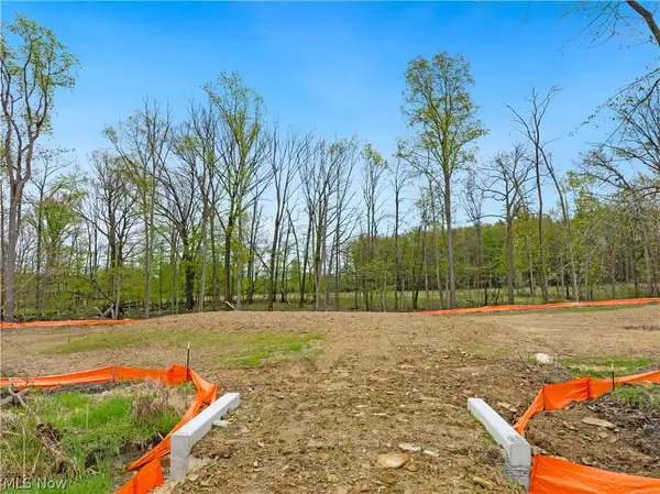 9528 River Birch Run, Brecksville, OH 44141