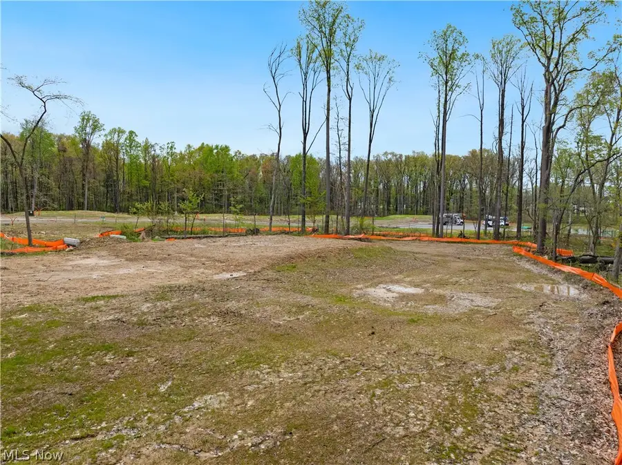 9528 River Birch Run, Brecksville, OH 44141 - #2