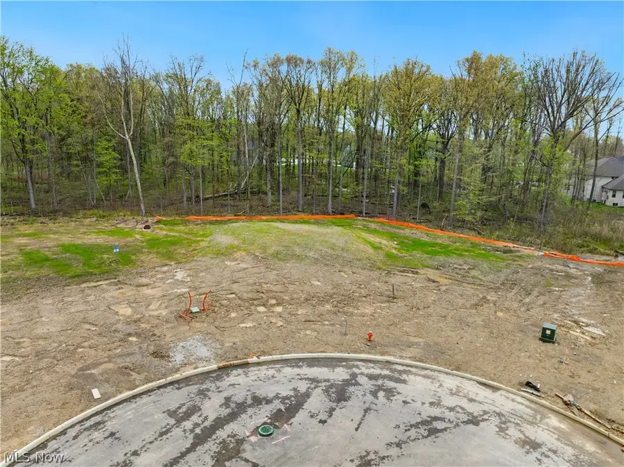 9533 River Birch Run, Brecksville, OH 44141 - #2