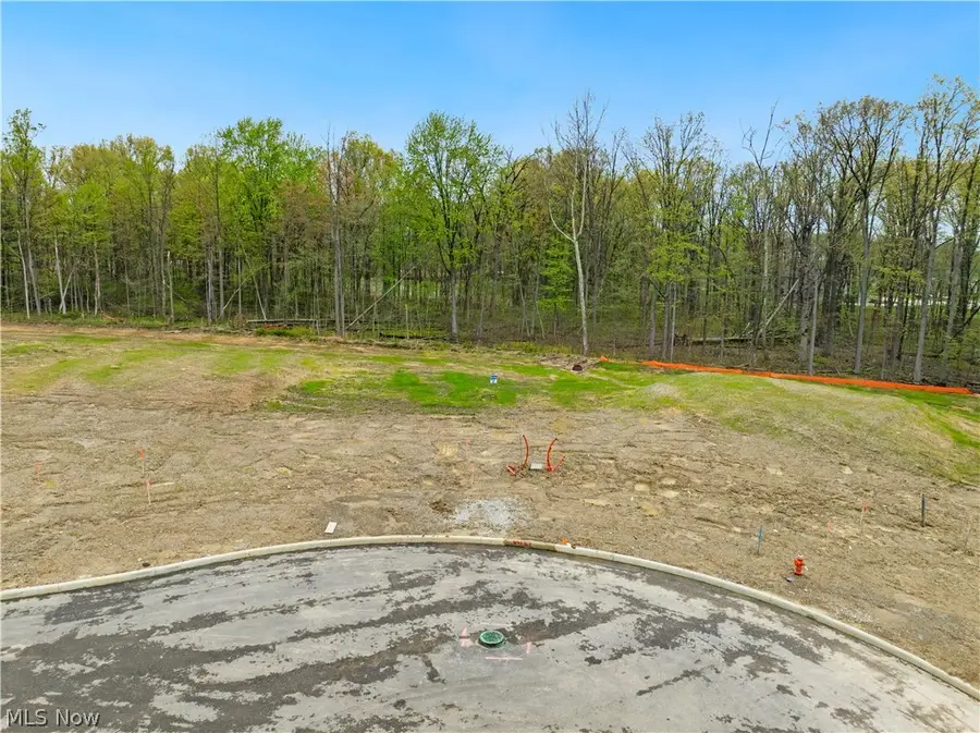 9533 River Birch Run, Brecksville, OH 44141 - #3