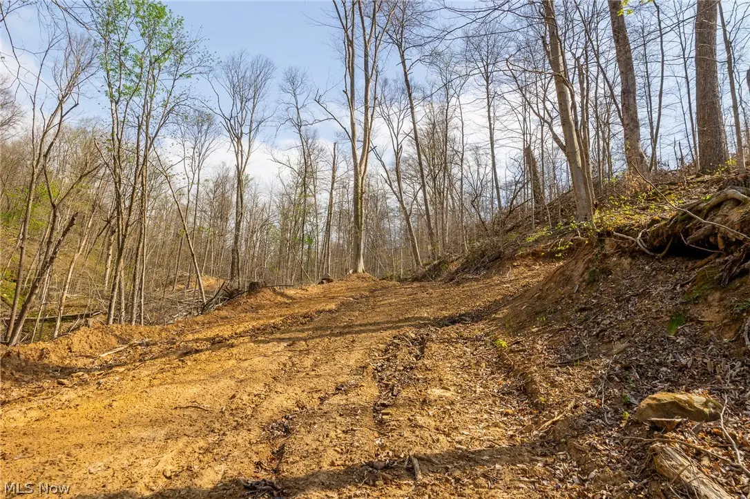 0 Twp Rd 63 Deans Fork Rd #5, Whipple, OH 45788 - #1