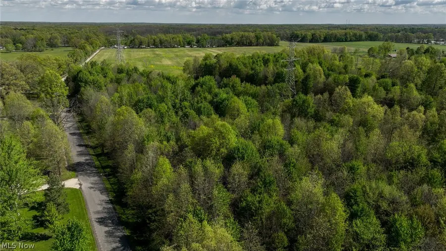 Oyster Road, North Benton, OH 44449 - #2