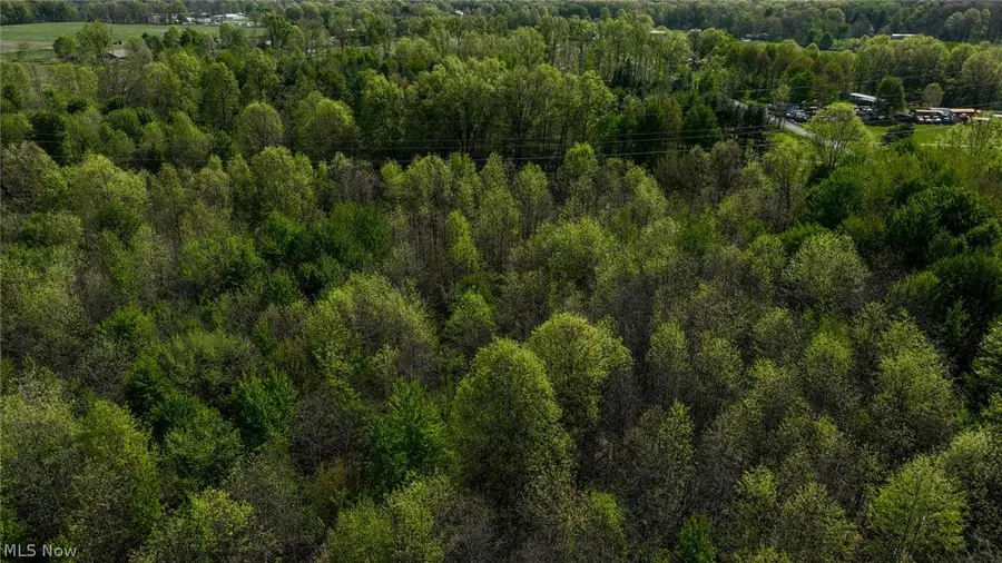 Oyster Road, North Benton, OH 44449 - #3