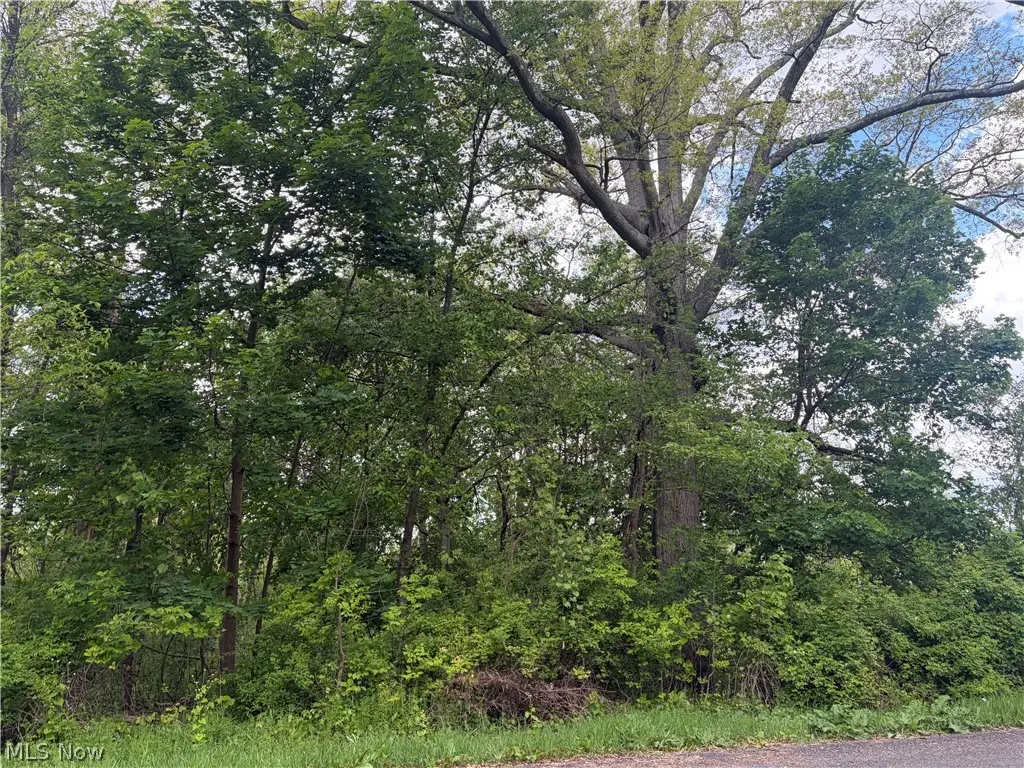 V/L Trenton Road, Akron, OH 44312 - #1
