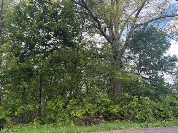 V/L Trenton Road, Akron, OH 44312