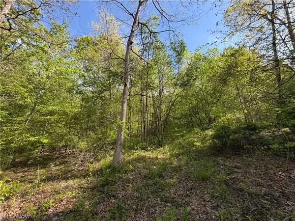 Township Road 290, Coshocton, OH 43812