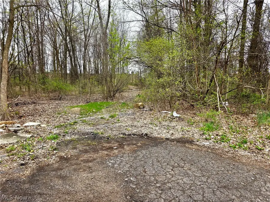 VL Ridgewood Street, Lorain, OH 44055 - #2