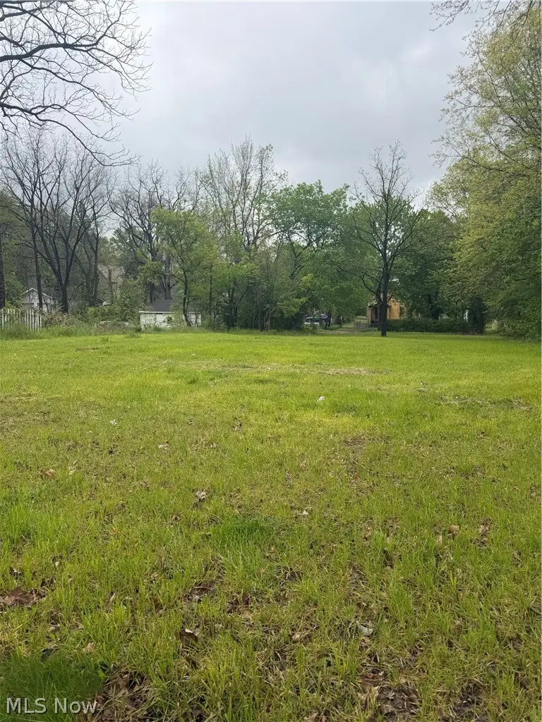 463 S Chestnut Street, Ravenna, OH 44266 - #2