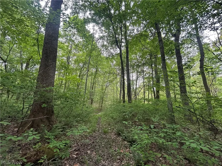 Wesley Chapel, Mount Perry, OH 43760 - #3