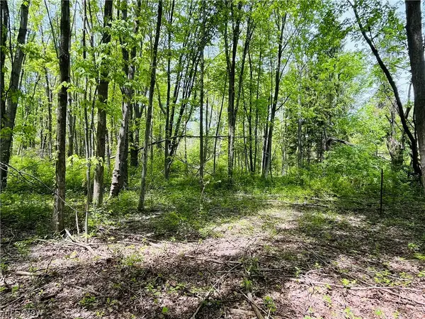 Bates Road, Madison, OH 44057