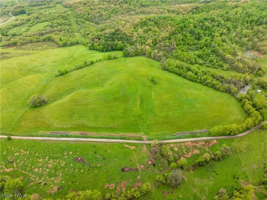 Timmerman Road, Bowerston, OH 44695 - #2