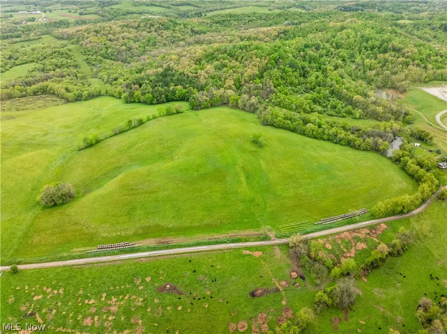 Timmerman Road, Bowerston, OH 44695 - #3