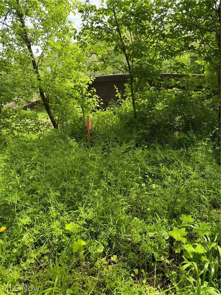 Harrietsville Sr 145 Road, Lower Salem, OH 45745 - #2