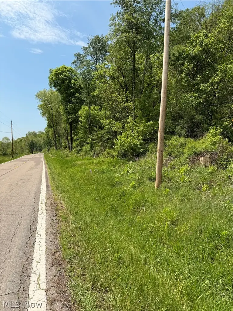 Harrietsville Sr 145 Road, Lower Salem, OH 45745 - #3