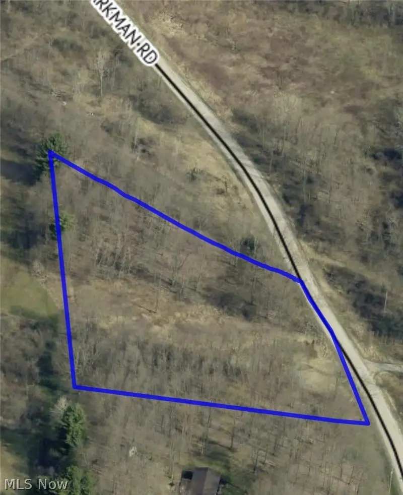 V-L Parkman Road, Windham, OH 44288 - #3