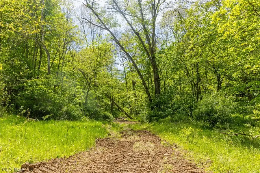 6100 Rockville Road, Blue Rock, OH 43720 - #3