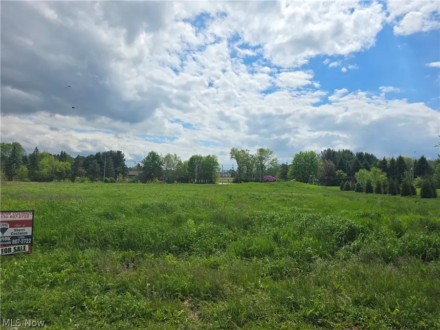 7439-S/L 48 Harps Mill Drive, Wadsworth, OH 44281 - #2