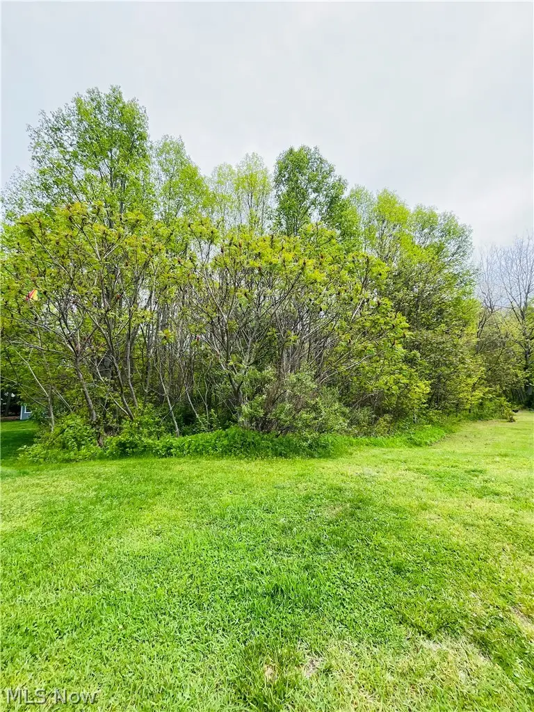 2215 Cambrian Street, Madison, OH 44057 - #1
